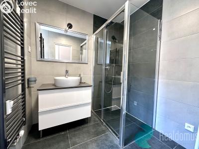 Pronájem bytu 1+1 České Budějovice, Pabláskova č. 4