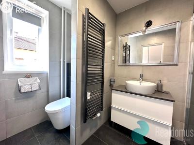 Pronájem bytu 1+1 České Budějovice, Pabláskova č. 5