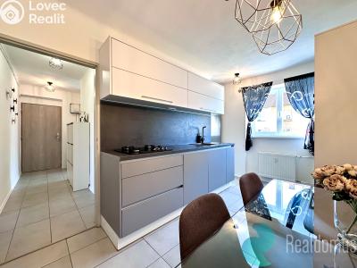 Pronájem bytu 1+1 České Budějovice, Pabláskova č. 6