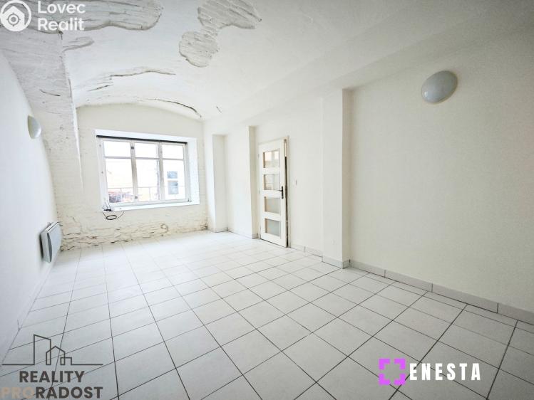 Pronájem bytu 1+1 Tursko, Ke Statkům 16 č. 1