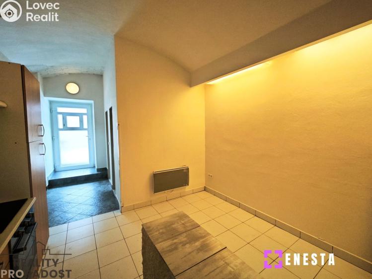 Pronájem bytu 1+1 Tursko, Ke Statkům 16 č. 4