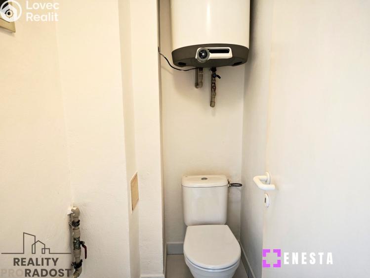 Pronájem bytu 1+1 Tursko, Ke Statkům 16 č. 6