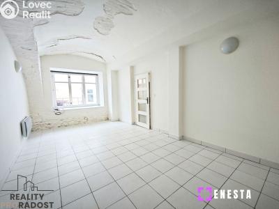 Pronájem bytu 1+1 Tursko, Ke Statkům 16 č. 1