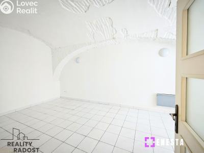 Pronájem bytu 1+1 Tursko, Ke Statkům 16 č. 2