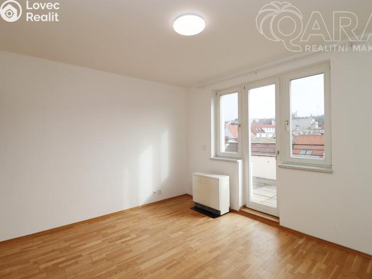 Pronájem bytu 2+1 Praha, Bělohorská 1396/38 č. 2