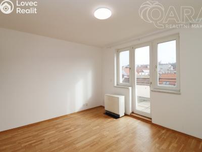 Pronájem bytu 2+1 Praha, Bělohorská č. 2