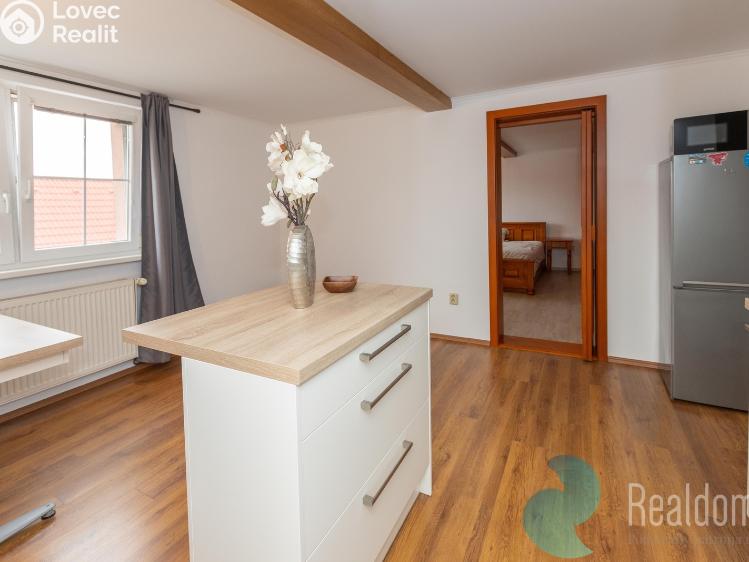 Pronájem rodinného domu Český Brod, Ruská 697 č. 4