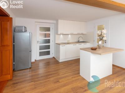 Оренда сімейного будинку Český Brod, Ruská 697 č. 3