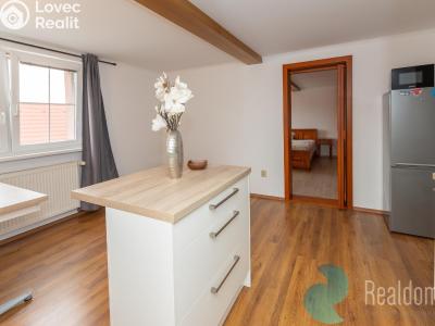 Оренда сімейного будинку Český Brod, Ruská 697 č. 4