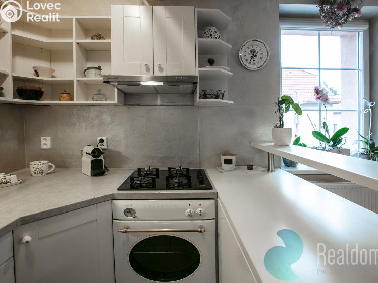 Pronájem rodinného domu Český Brod, Ruská 697 č. 5