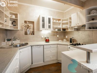 Pronájem rodinného domu Český Brod, Ruská 697 č. 3