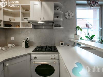 Оренда сімейного будинку Český Brod, Ruská 697 č. 5