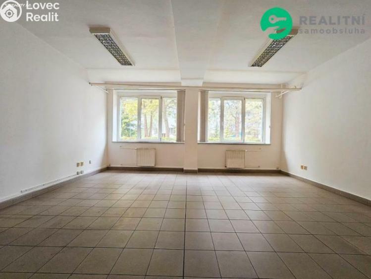 Pronájem skladového prostoru Praha, Průběžná č. 5