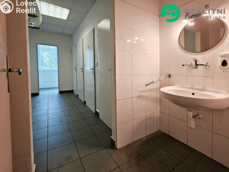 Pronájem skladového prostoru Praha, Průběžná č. 9