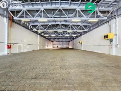 Pronájem skladového prostoru Praha, Průběžná č. 4