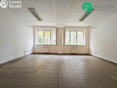 Pronájem skladového prostoru Praha, Průběžná č. 5