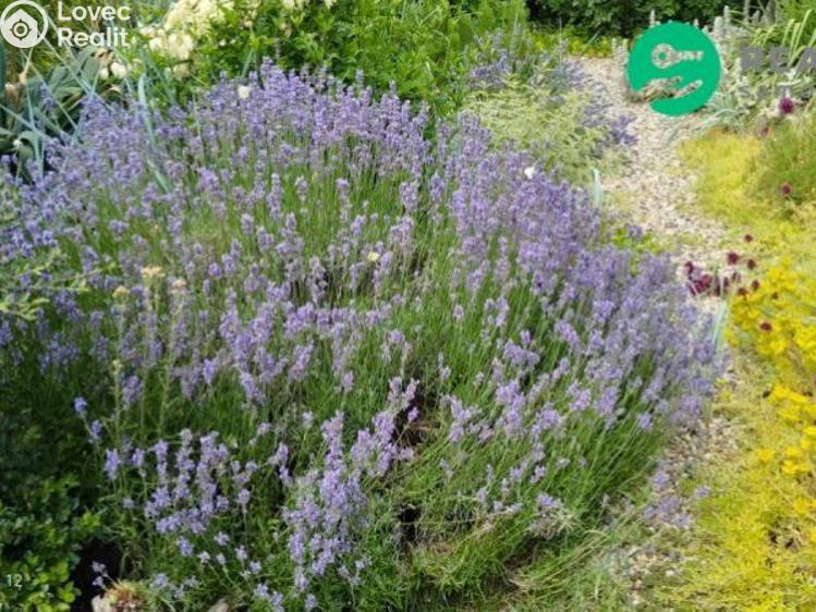 Prodej chaty Kadaň č. 20