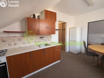 Pronájem bytu 1+1 Ostrata č. 2