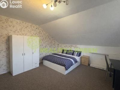 Pronájem bytu 1+1 Ostrata č. 6