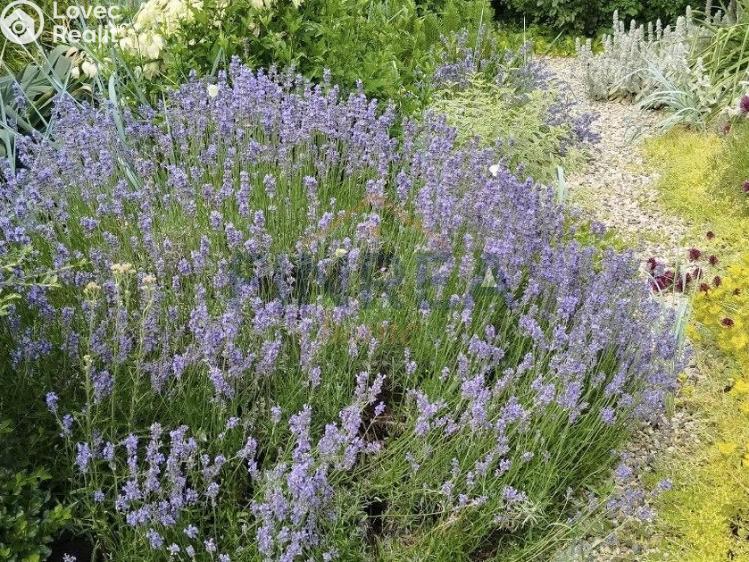 Prodej chaty Kadaň č. 14