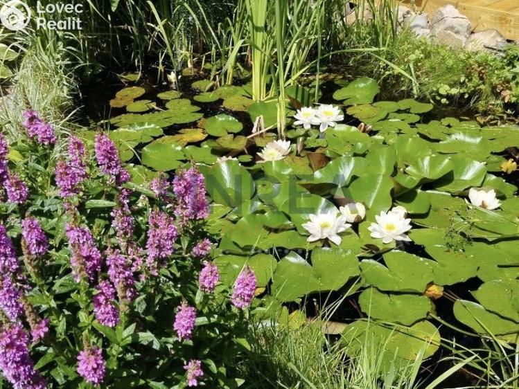 Prodej chaty Kadaň č. 16