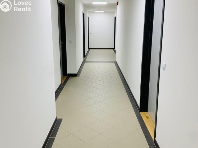 Pronájem bytu 1+KK Praha, Jurkovičova č. 10