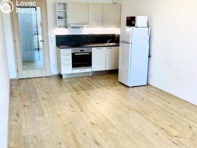 Pronájem bytu 1+KK Praha, Jurkovičova č. 1