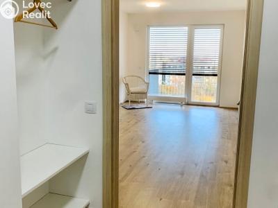 Pronájem bytu 1+KK Praha, Jurkovičova č. 6