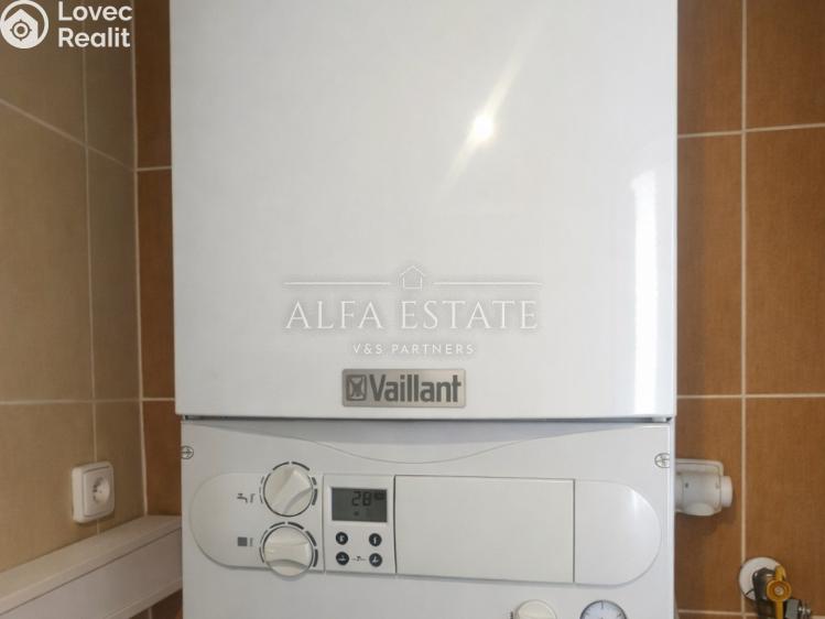 Оренда сімейного будинку Karlovy Vary, Řadová č. 13