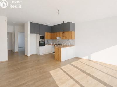 Оренда сімейного будинку Karlovy Vary, Řadová č. 4