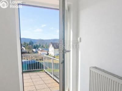 Оренда сімейного будинку Karlovy Vary, Řadová č. 6