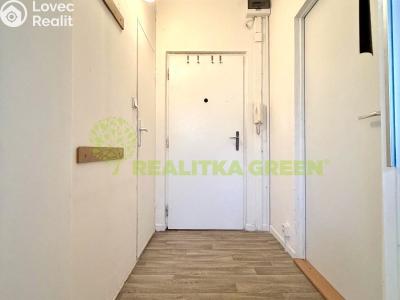 Pronájem bytu 2+1 Vsetín, Družstevní 1569 č. 2