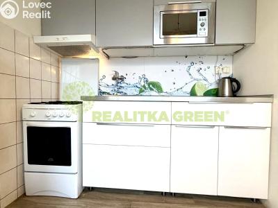 Pronájem bytu 2+1 Vsetín, Družstevní 1569 č. 4