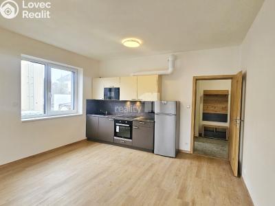 Pronájem bytu 1+KK Kolín, Pražská č. 6