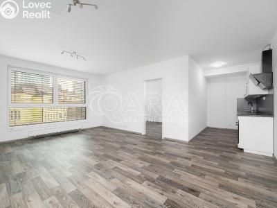 Pronájem bytu 2+KK Liberec, U Nisy č. 1