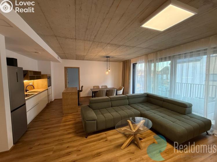 Pronájem bytu 4+KK Srubec č. 2