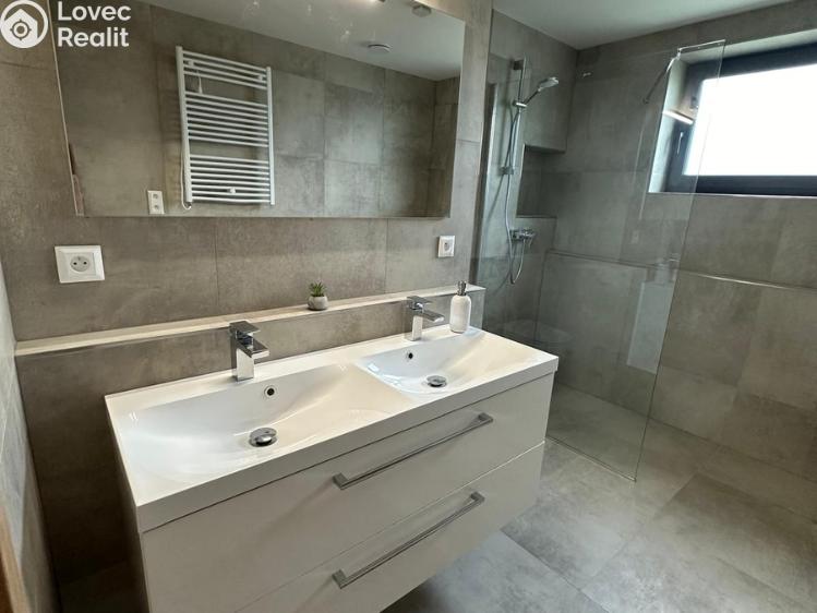 Pronájem bytu 4+KK Srubec č. 6