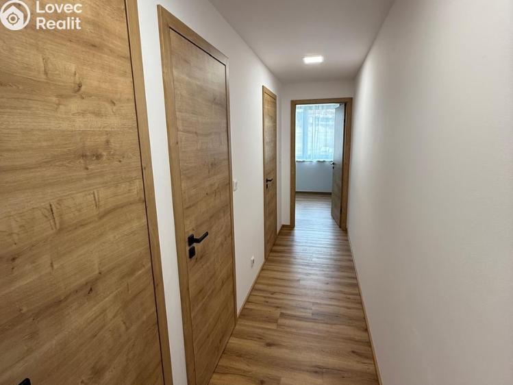 Pronájem bytu 4+KK Srubec č. 10