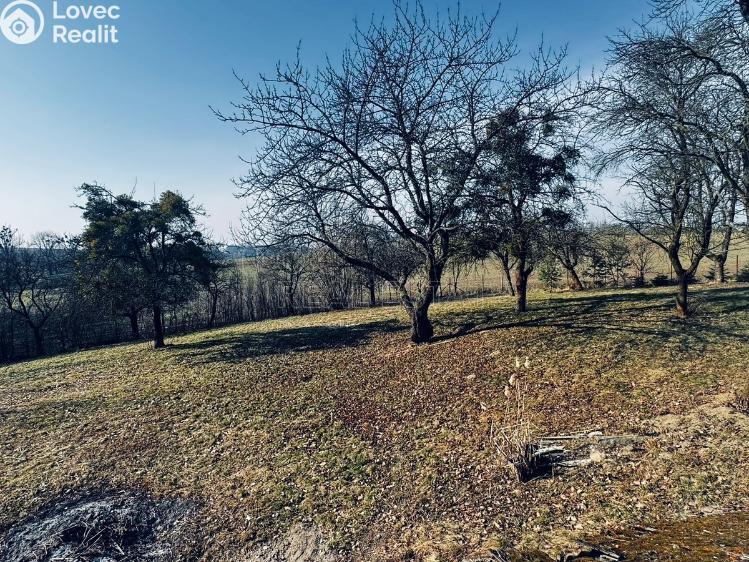 Prodej chaty Vítonice č. 14