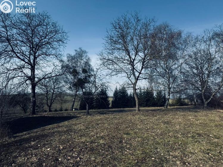 Prodej chaty Vítonice č. 16