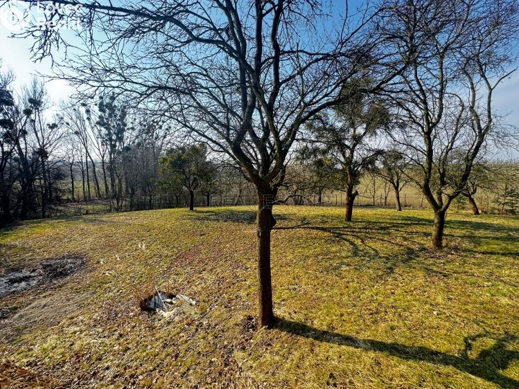 Prodej chaty Vítonice č. 17