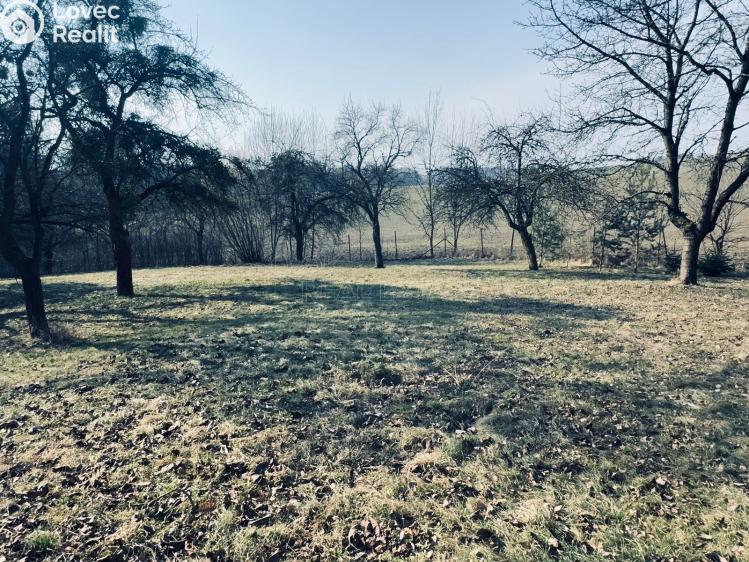 Prodej chaty Vítonice č. 22