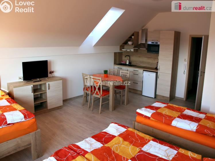 Prodej ubytovacího zařízení Boží Dar č. 7