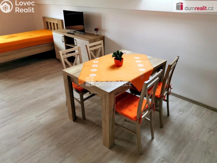 Prodej ubytovacího zařízení Boží Dar č. 16