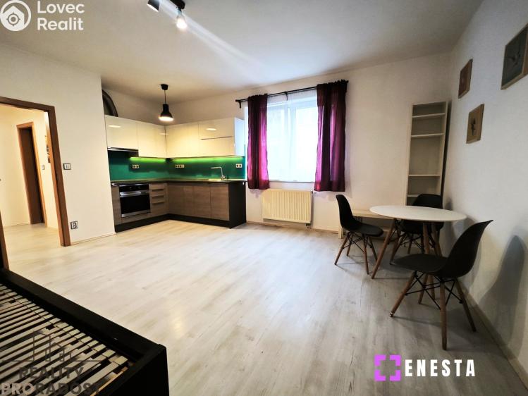 Pronájem bytu 1+KK Praha, Budilova 2385/4 č. 1