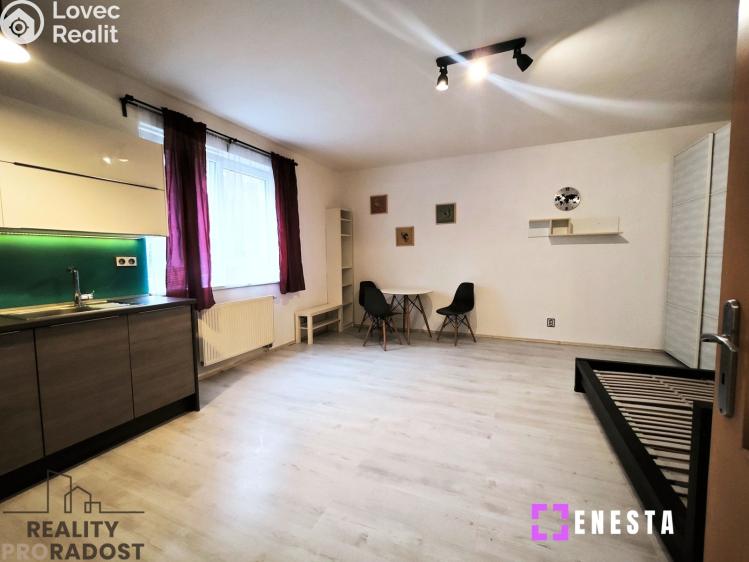 Pronájem bytu 1+KK Praha, Budilova 2385/4 č. 2