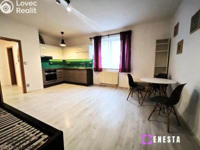 Pronájem bytu 1+KK Praha, Budilova č. 1