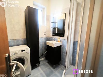 Pronájem bytu 1+KK Praha, Budilova č. 6