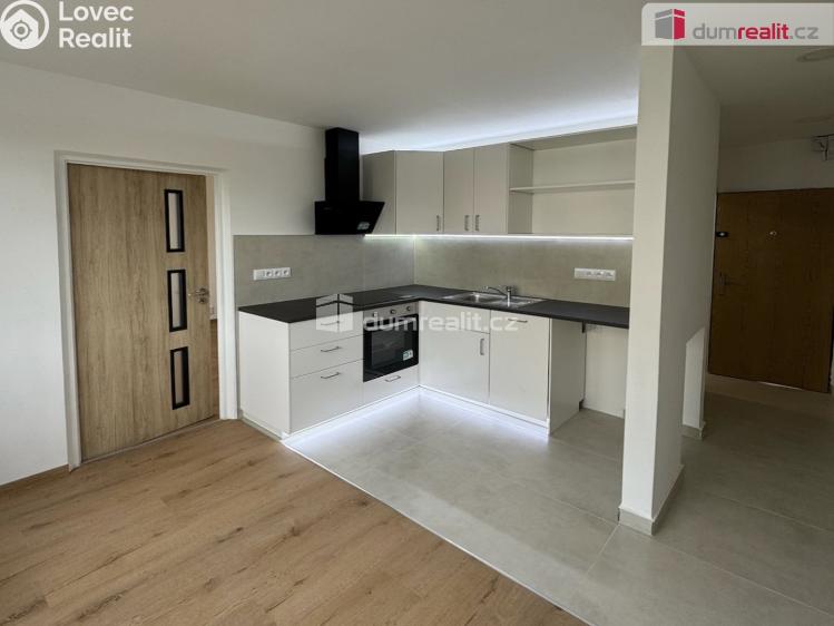 Pronájem bytu 1+1 Ústí nad Labem, Glennova č. 1