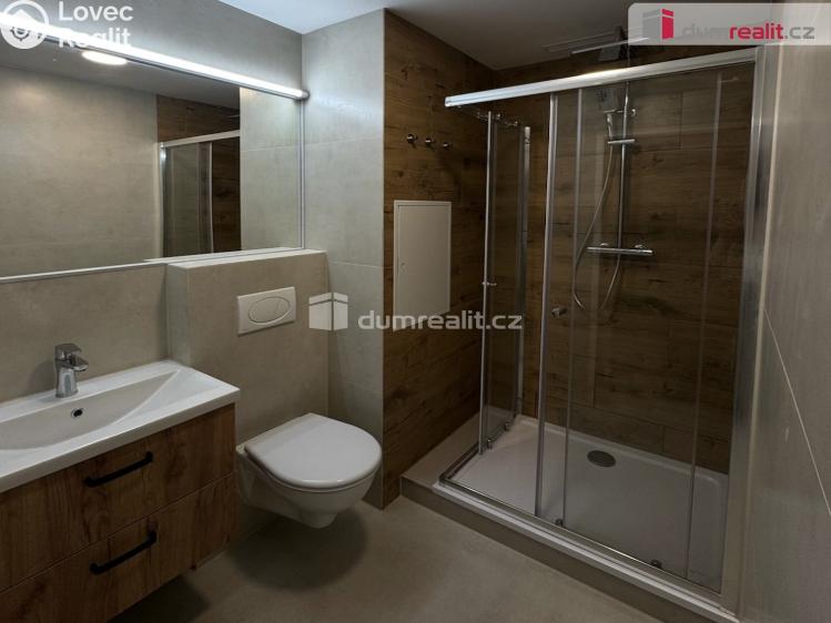 Pronájem bytu 1+1 Ústí nad Labem, Glennova č. 6